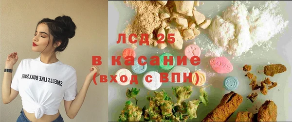 a pvp Аркадак